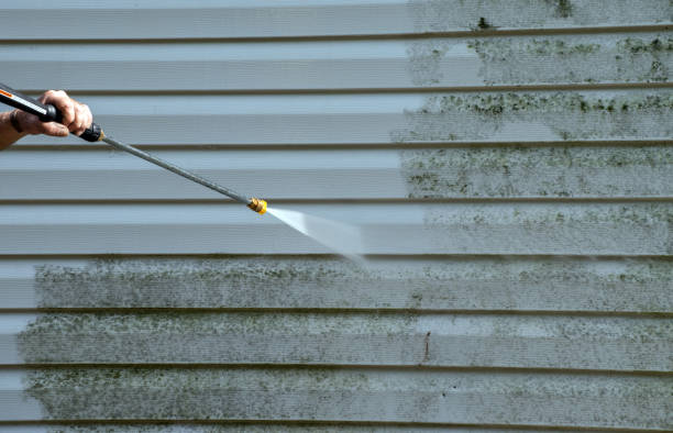 Best Local Pressure Washing Services  in Mexia, TX