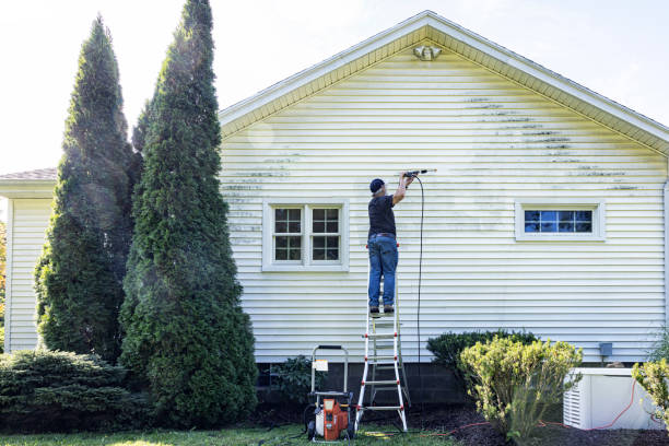 Best Affordable Power Washing  in Mexia, TX